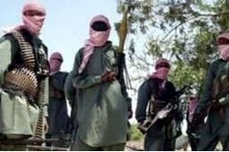 Mysterious Snakes, Bees Attack Boko Haram In Sambisa Forest    1